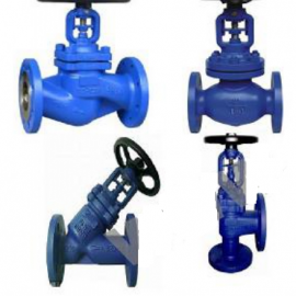 Bellows  Globe Valve