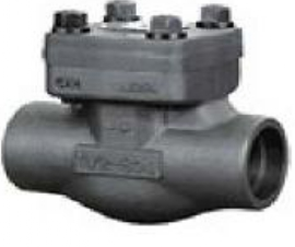 Forged Check Valve