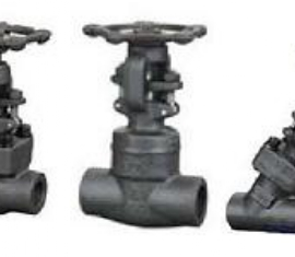 Forged  Globe Valve