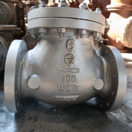 API Check Valve