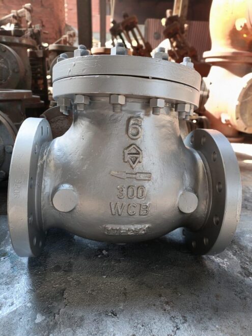 API Check Valve