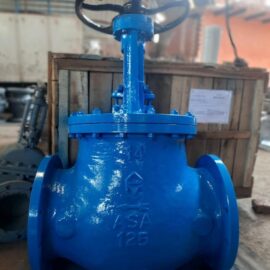 Din Globe Valve