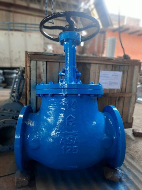 Din Globe Valve